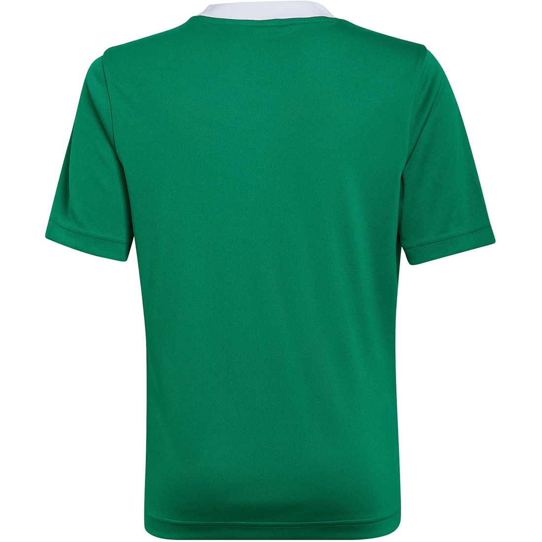 Adidas Kinder Trikot Entrada 22 grün-weiß