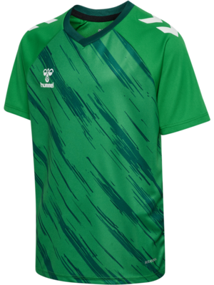 Hummel hmlMATCH Triumph Trikot Kinder jelly bean/botonical garden