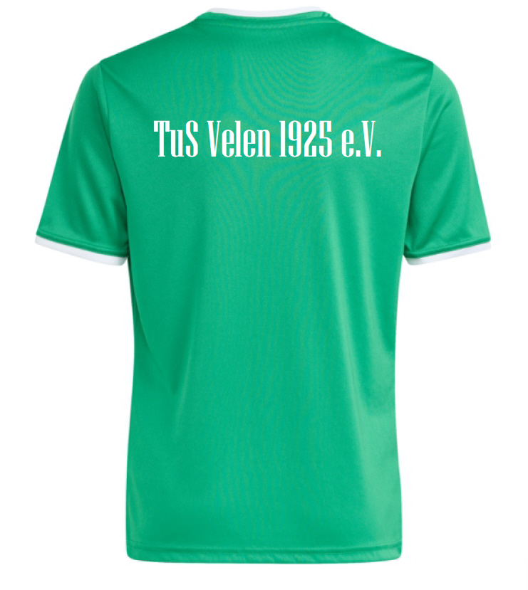 TuS Velen Entrada 26 Aufwärmshirt grün