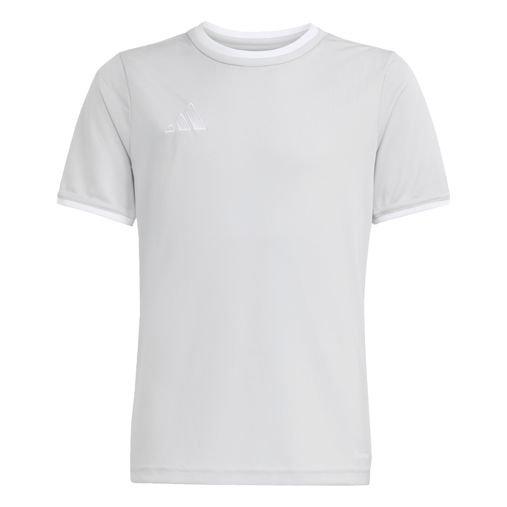 Adidas Entrada 26 Trikot Kids Grau