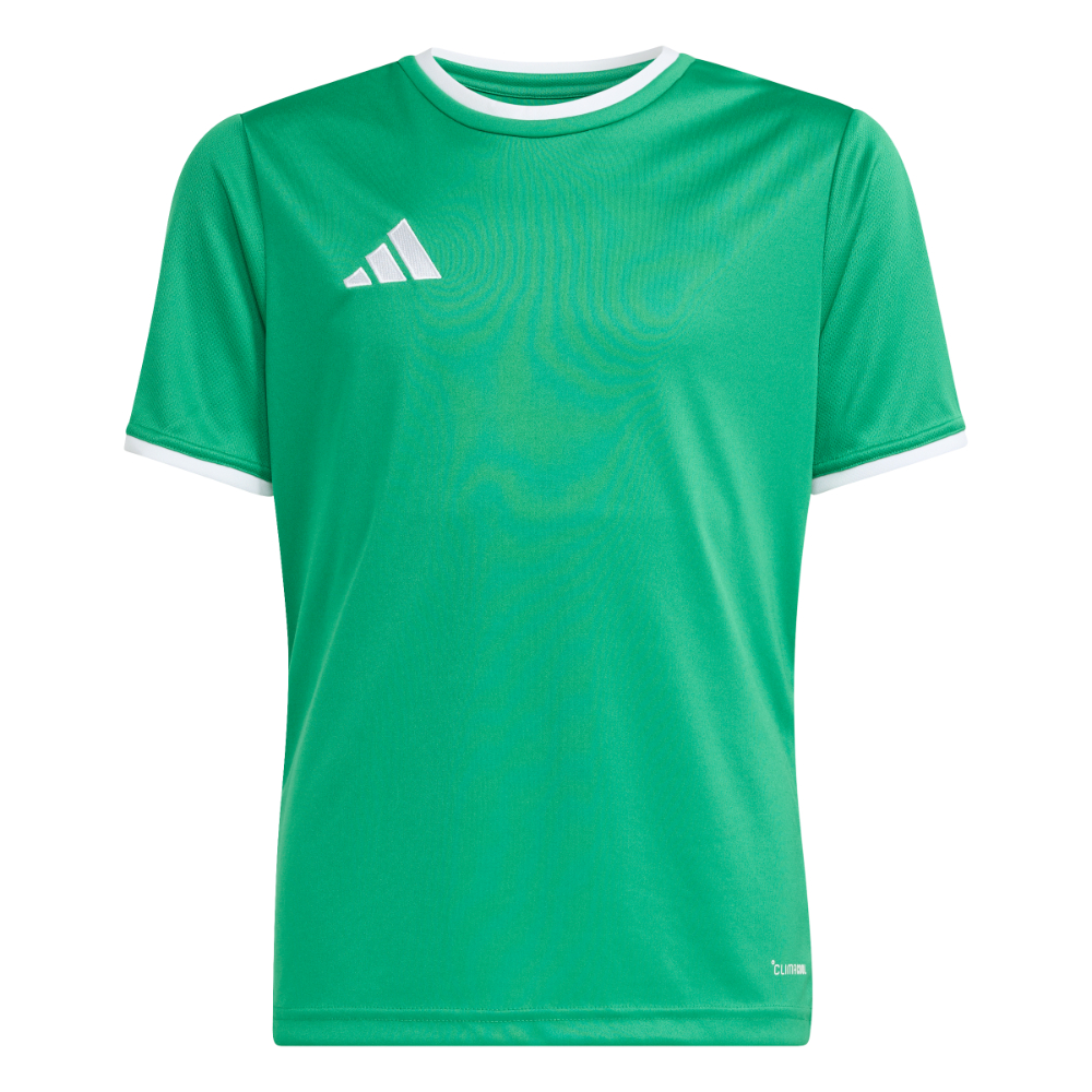 Adidas Entrada 26 Trikot Kids Grün