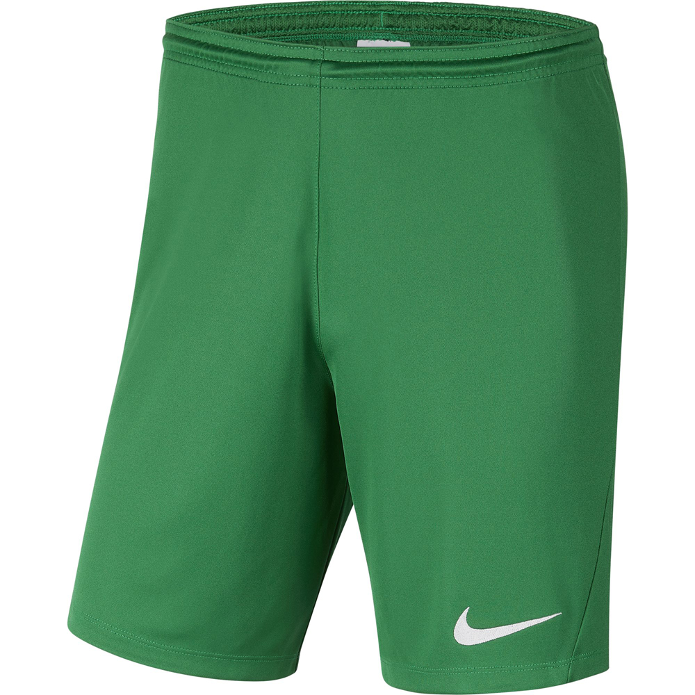 Nike Park III Herren Shorts pine green-weiß