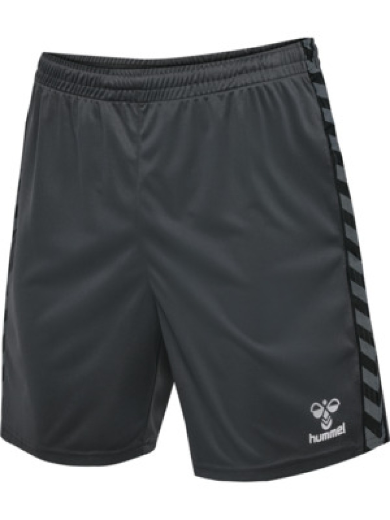 Hummel Hmlauthentic 24 PL Herren Shorts grau