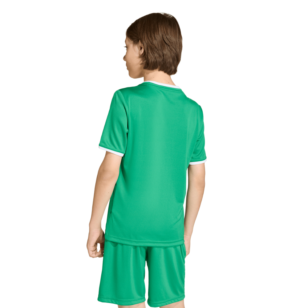 Adidas Entrada 26 Trikot Kids Grün