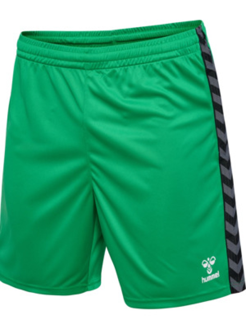 Hummel Hmlauthentic 24 PL Herren Shorts grün