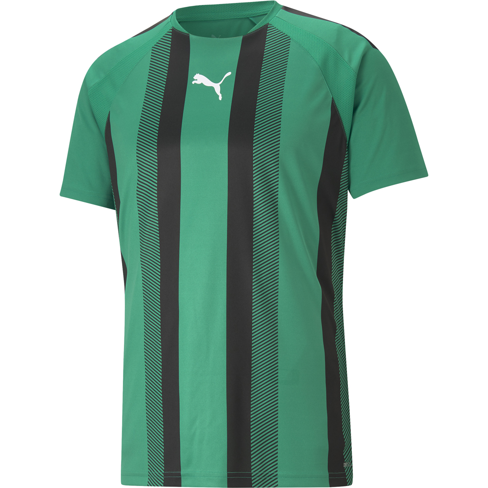 Puma Kinder Trikot teamLIGA Striped grün-schwarz