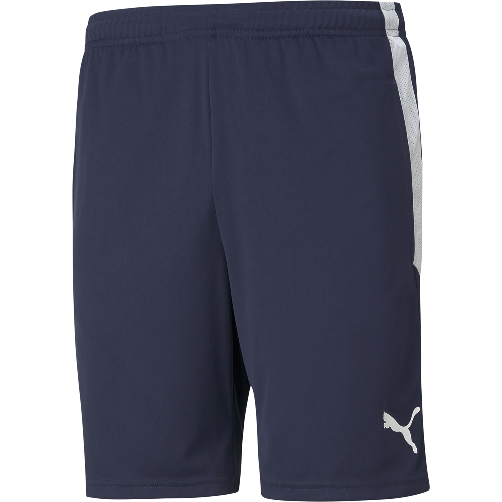 Puma Kinder Training Shorts teamLIGA blau-weiß