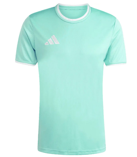 Adidas Entrada 26 Trikot Mint