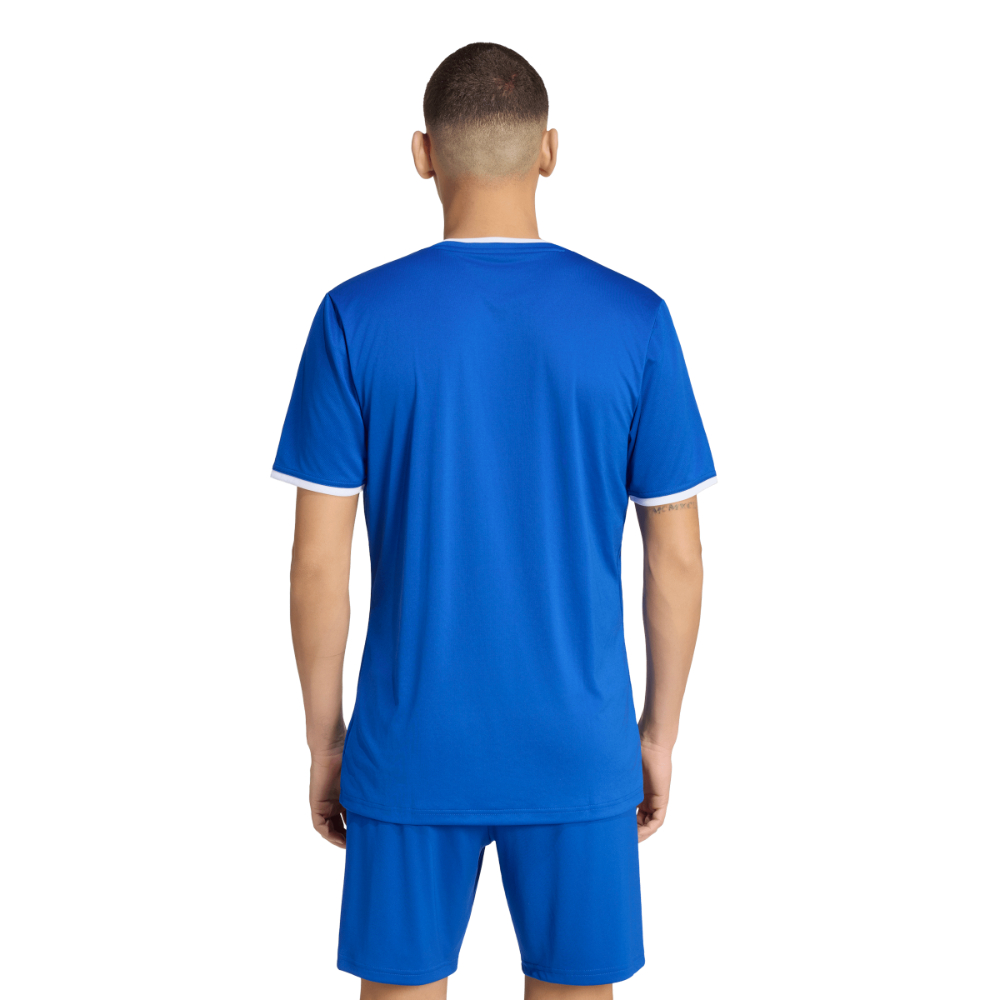 Adidas Entrada 26 Trikot Royal