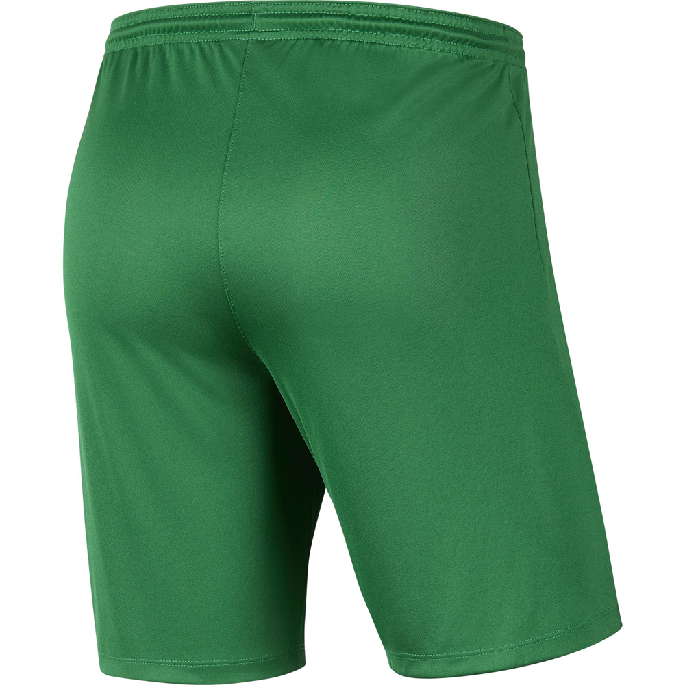 Nike Park III Kinder Shorts pine green-weiß