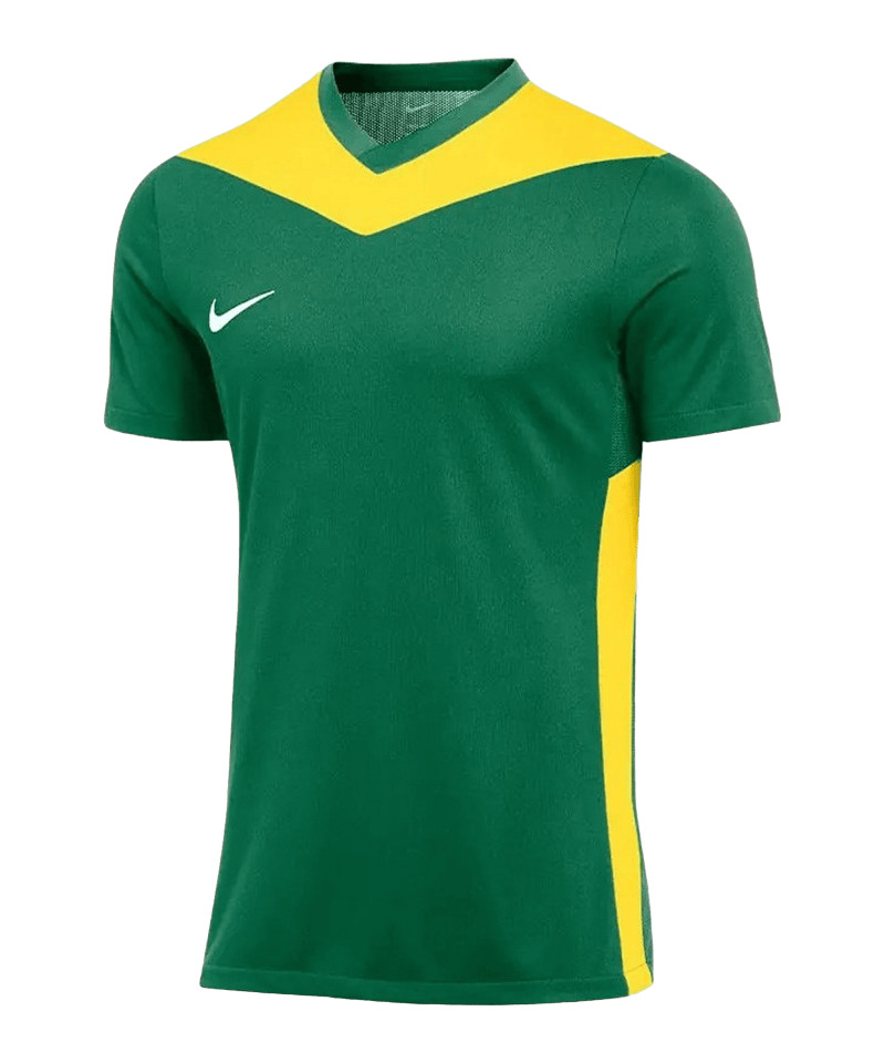 Nike Park Derby IV Trikot Kinder green F303
