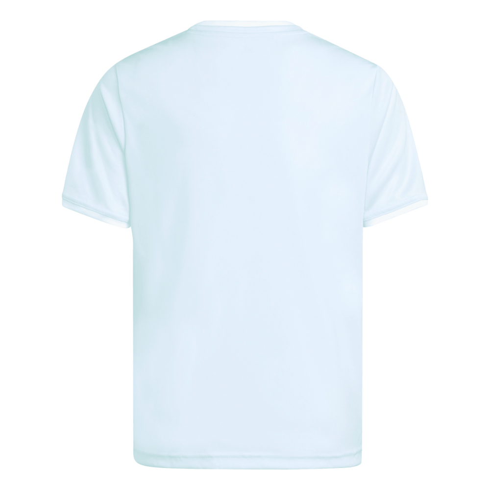 Adidas Entrada 26 Trikot Kids Mint