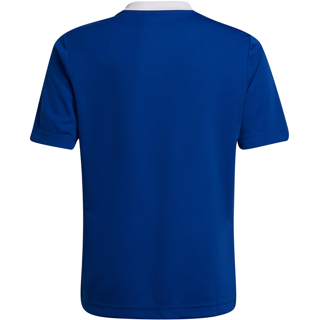 Adidas Kinder Trikot Entrada 22 blau