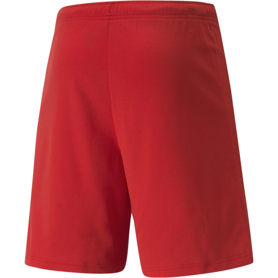 Puma Shorts teamRISE rot-weiß