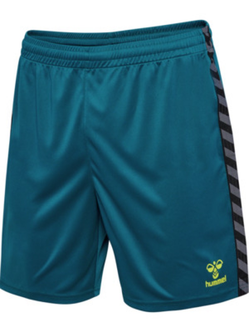 Hummel Hmlauthentic 24 PL Herren Shorts blau