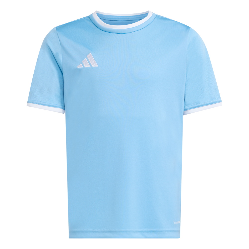 Adidas Entrada 26 Trikot Kids Hellblau