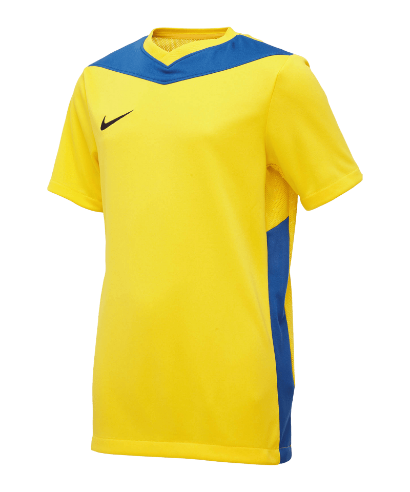 Nike Park Derby IV Trikot Kinder yellow blue F720