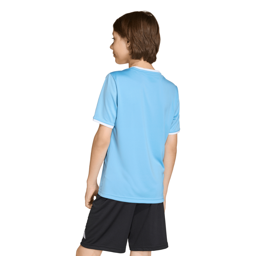 Adidas Entrada 26 Trikot Kids Hellblau