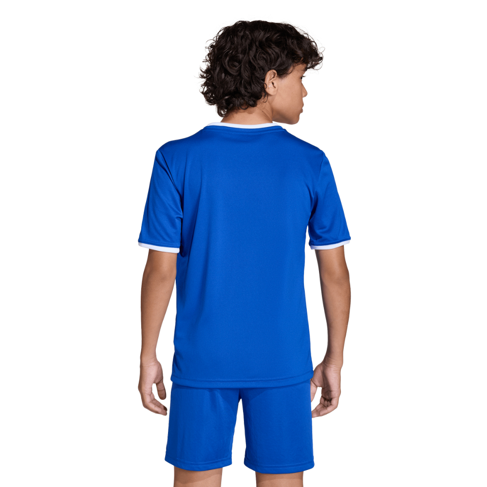 Adidas Entrada 26 Trikot Kids Royal