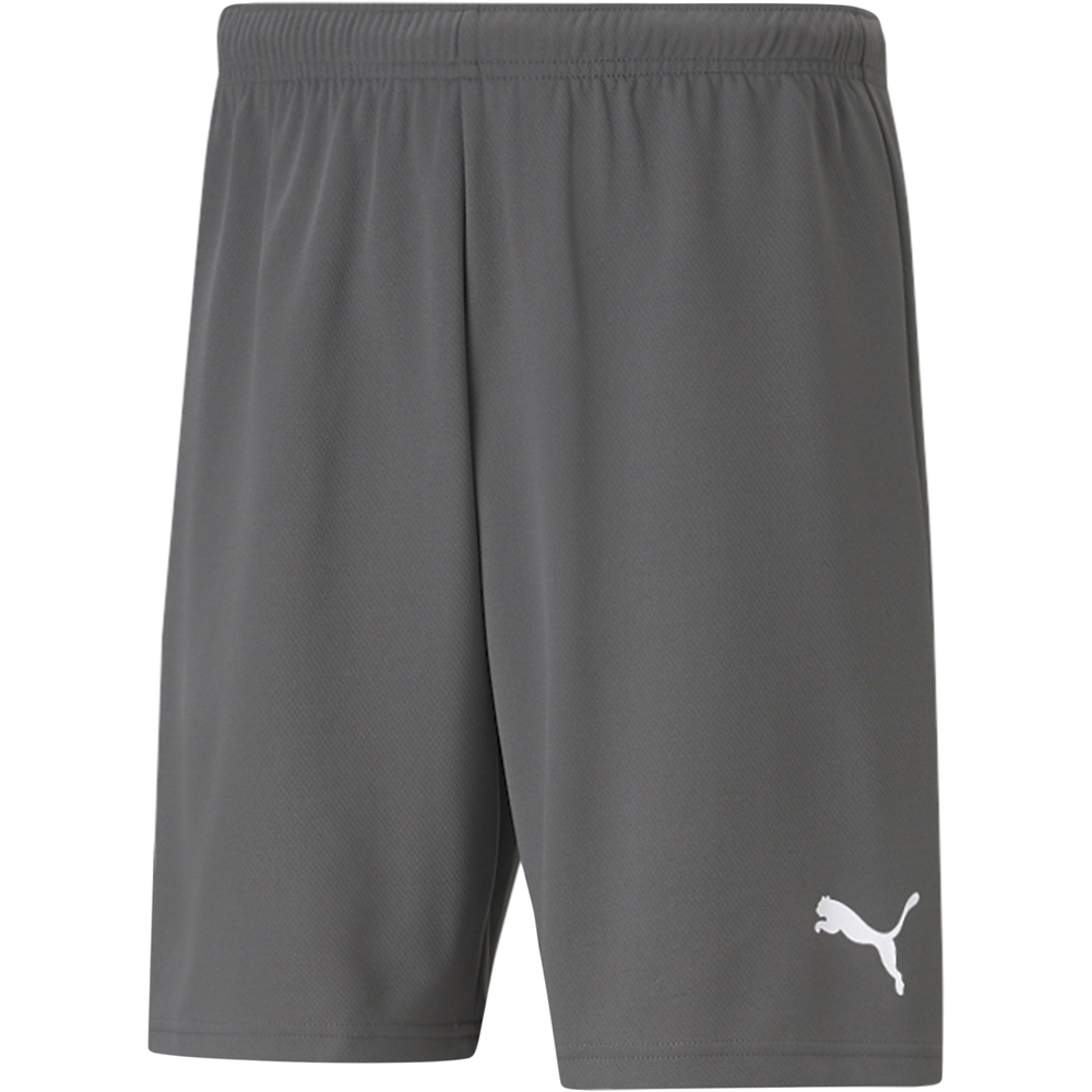 Puma Shorts teamRISE grau-weiß