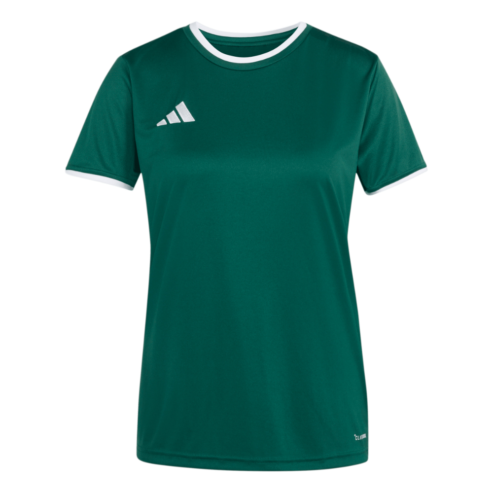 Adidas Entrada 26 Trikot Damen Dunkelgrün