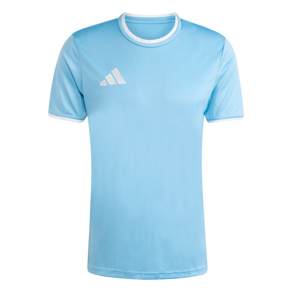 Adidas Entrada 26 Trikot Hellblau