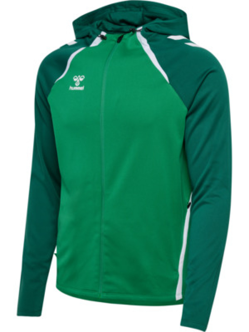 Hummel hmlLEAD 2.0 ZIP HOODIE jelly bean/evergreen