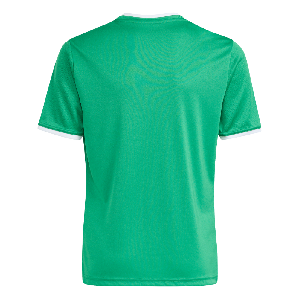 Adidas Entrada 26 Trikot Kids Grün