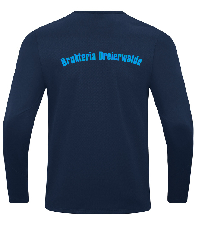 SV Dreierwalde Jako Sweat Power marine