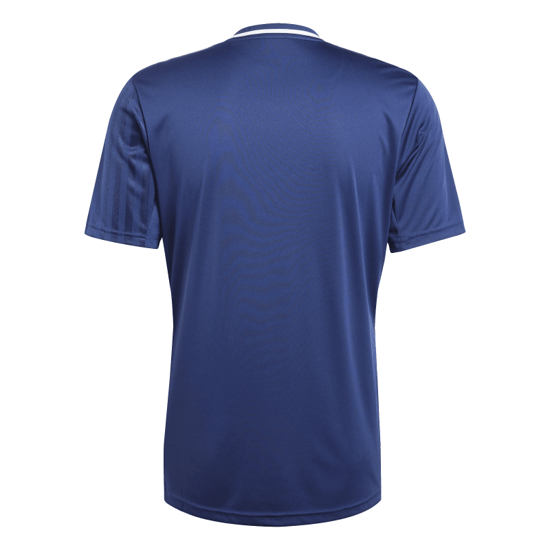 Adidas Kurzarm Trikot Campeon 25 team navy blue 2-white
