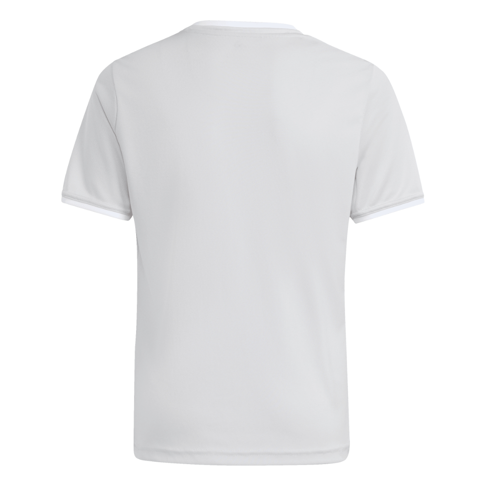 Adidas Entrada 26 Trikot Kids Grau