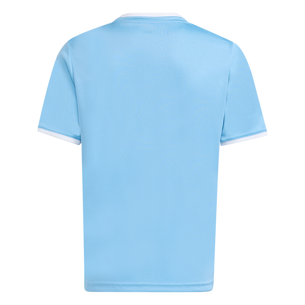 Adidas Entrada 26 Trikot Kids Hellblau