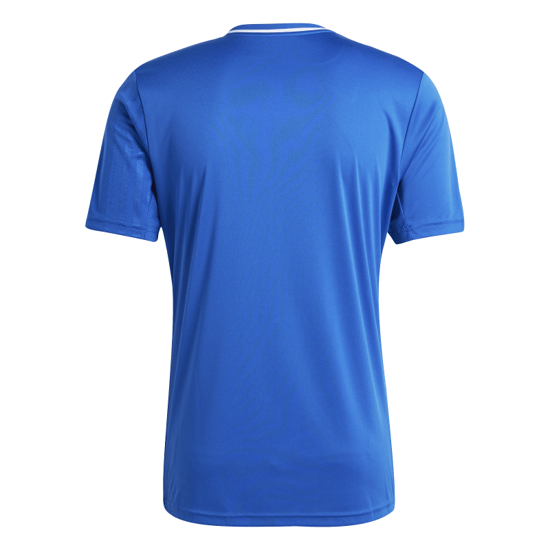 Adidas Kurzarm Trikot Campeon 25 team royal blue-white